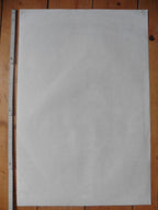 Original photography poster Norace Nicholls - 20.1"×29.9" (51×76cm)