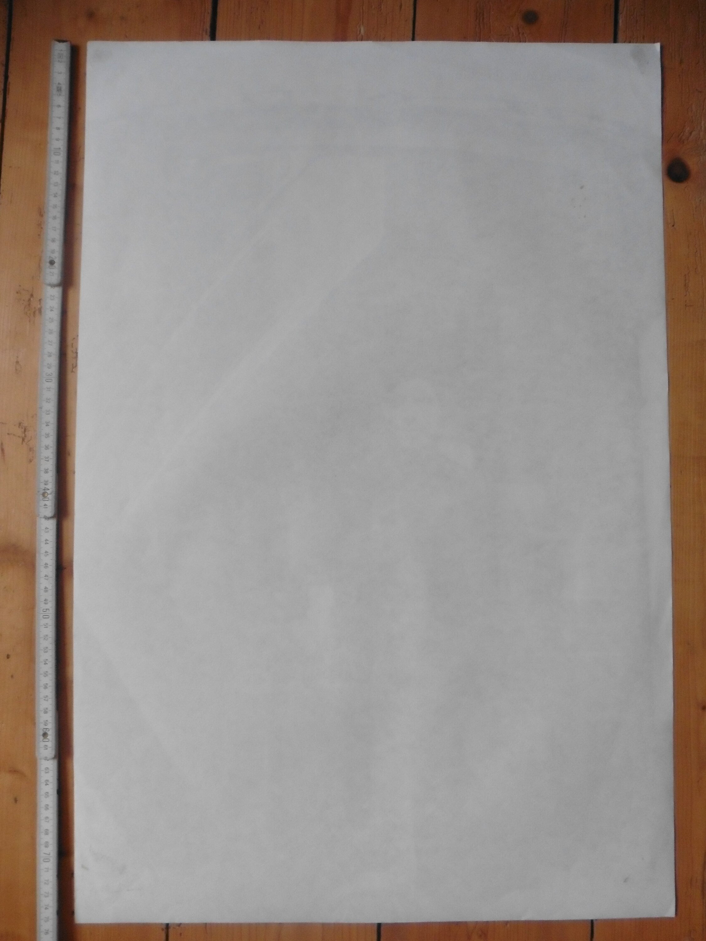 Original photography poster Norace Nicholls - 20.1"×29.9" (51×76cm)