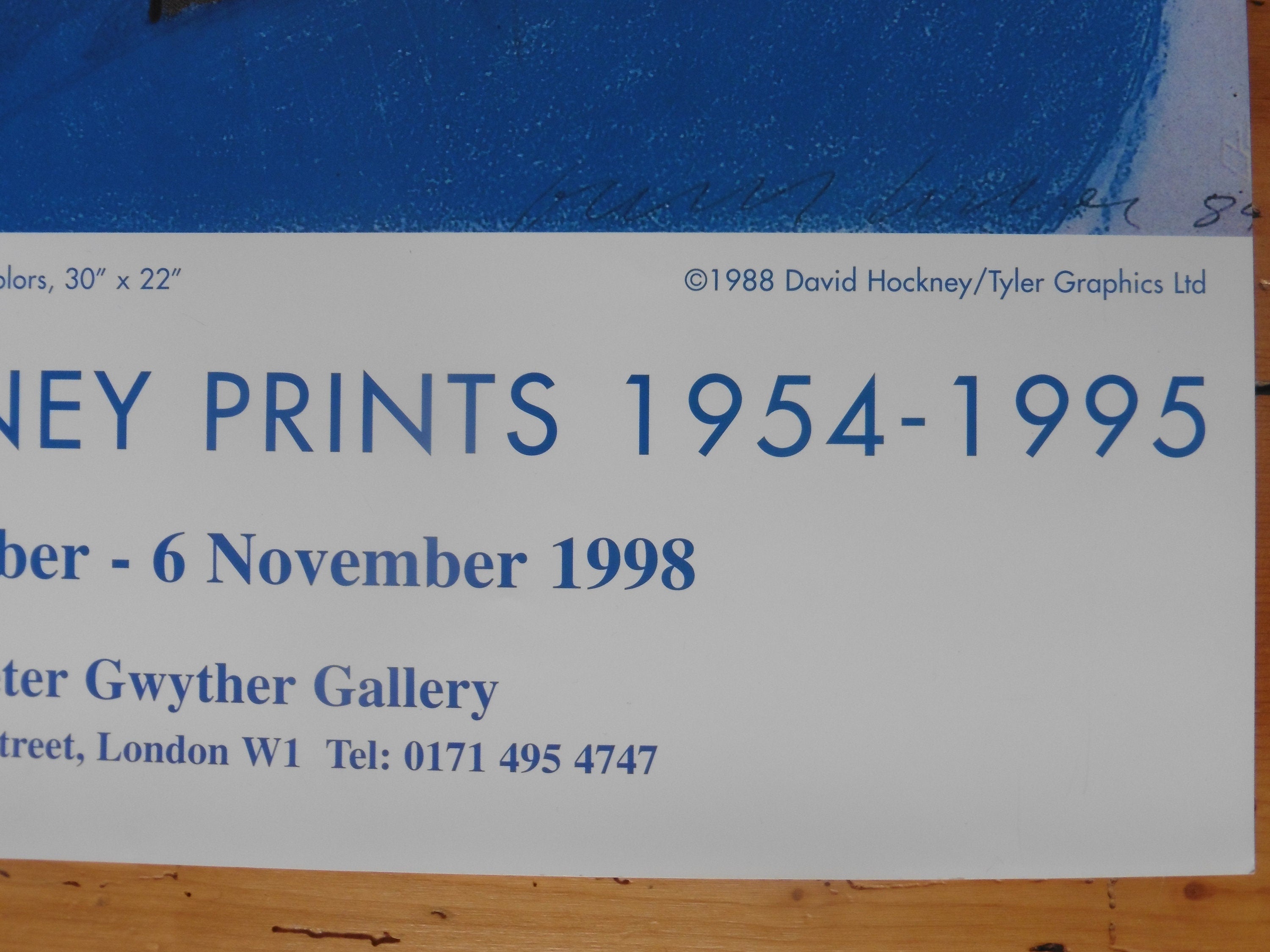 David Hockney original art poster - 16.9"×28.0" (43×71cm)