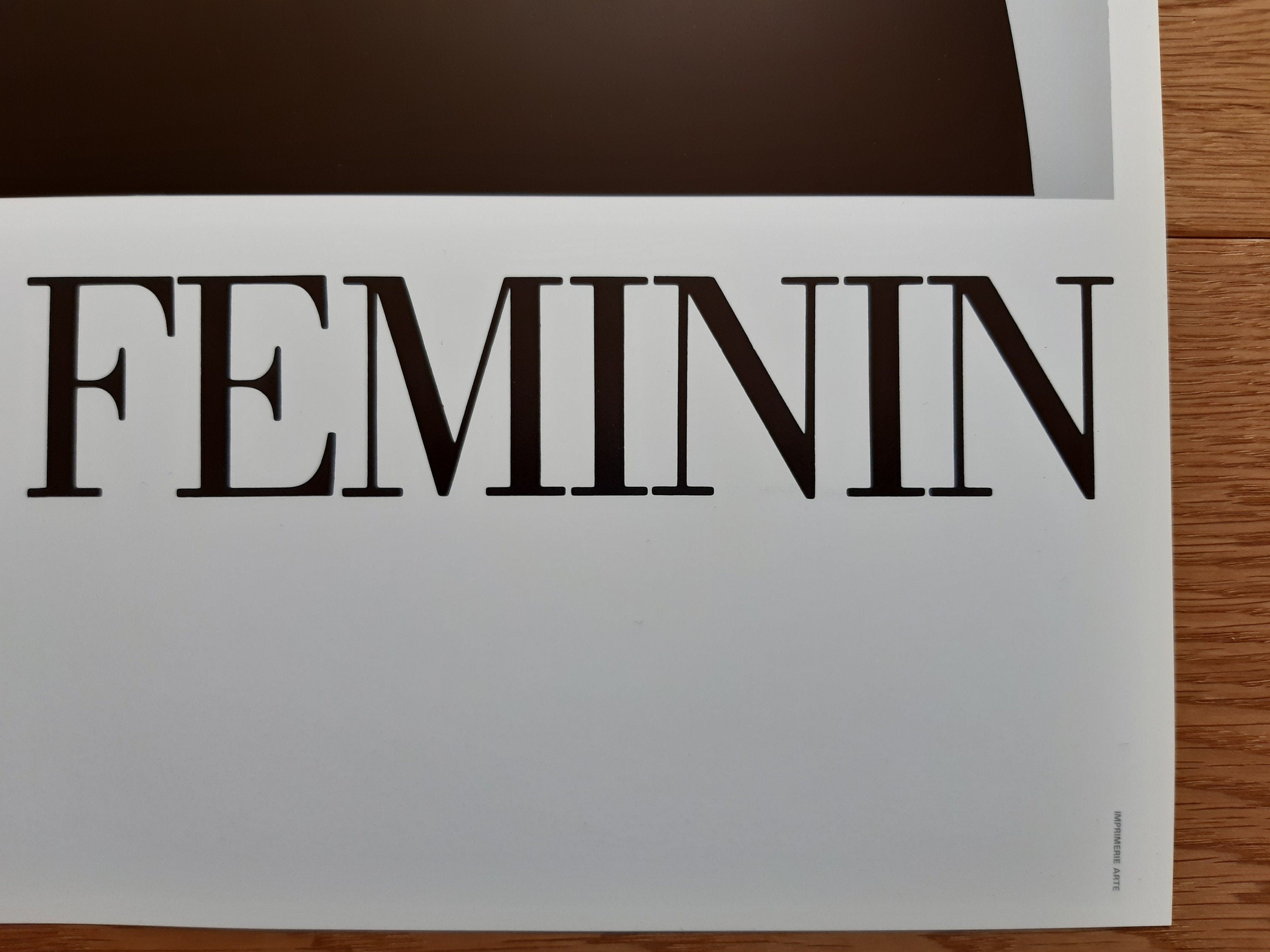 Prêt-à-porter Feminin Paris Razzia Poster – 60×90 cm