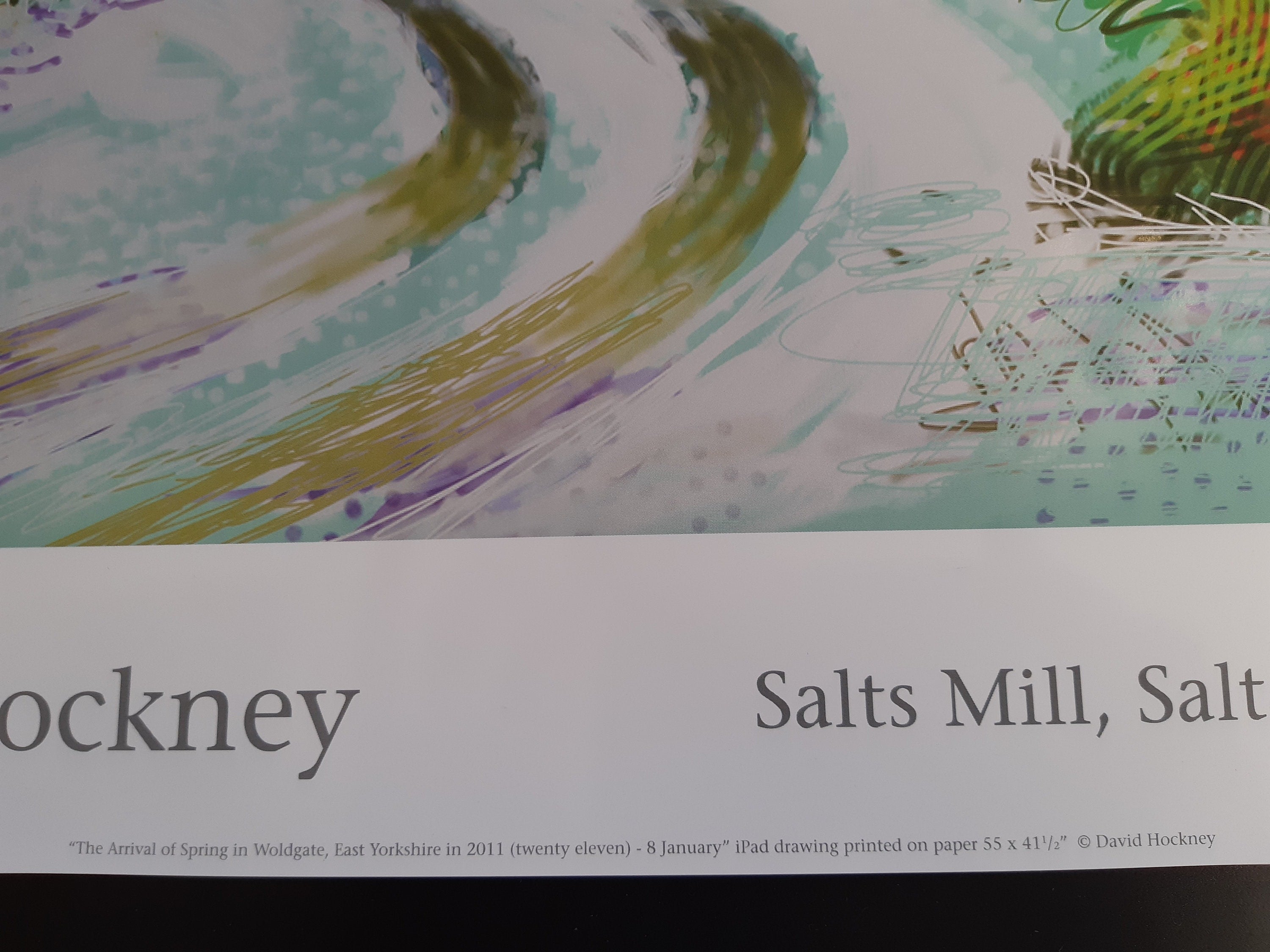 David Hockney original art poster - 18.7"×25.8" (47.5×65.5cm)