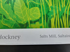 David Hockney original art poster - 18.7"×25.8" (47.5×65.5cm)