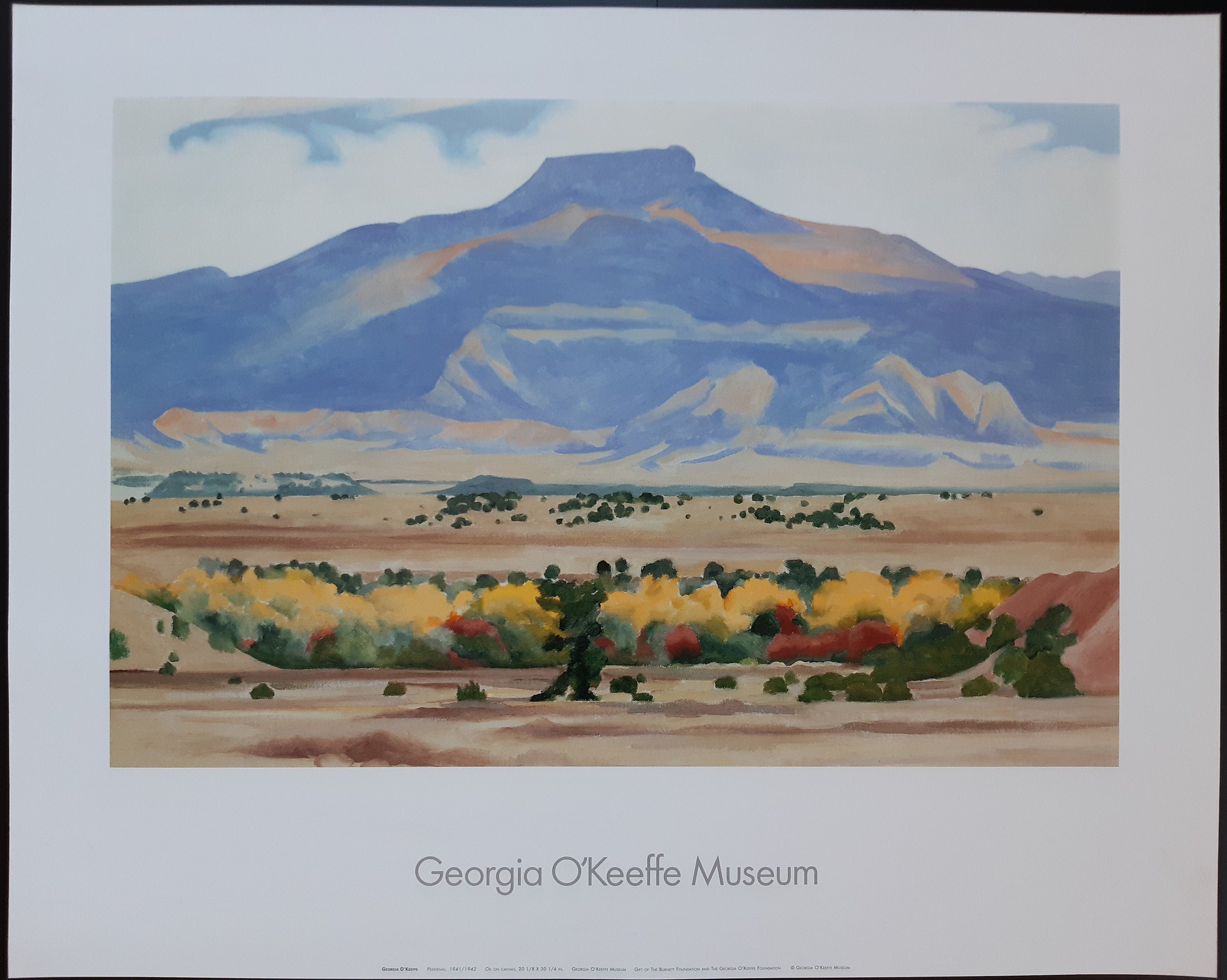Georgia O'Keeffe Original-Kunstposter – 76×61 cm (29.9"×24.0")