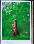 David Hockney original art poster - 18.7"×25.8" (47.5×65.5cm)