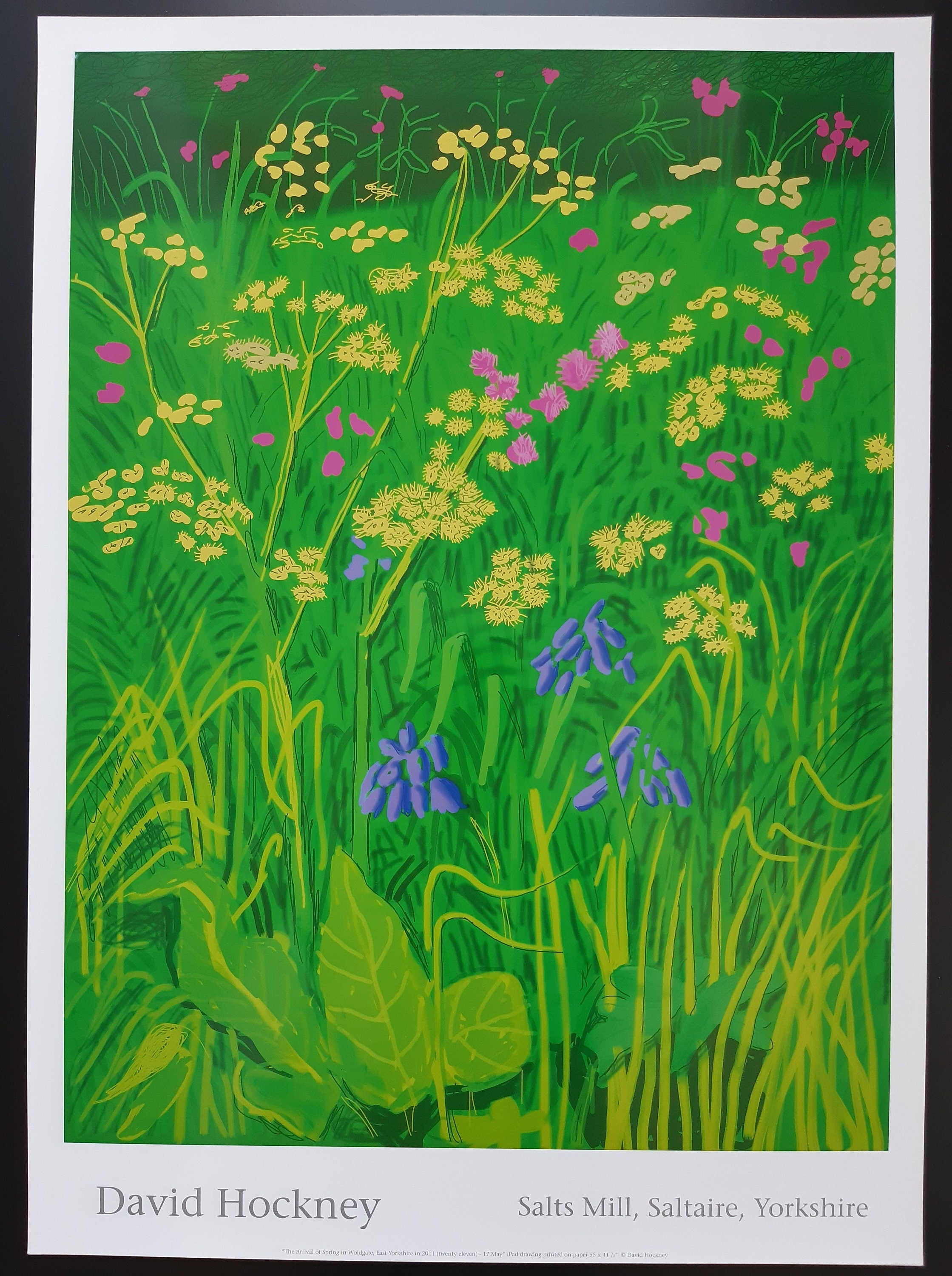 David Hockney original art poster - 18.7"×25.8" (47.5×65.5cm)