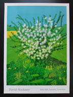 David Hockney original art poster - 18.7"×25.8" (47.5×65.5cm)