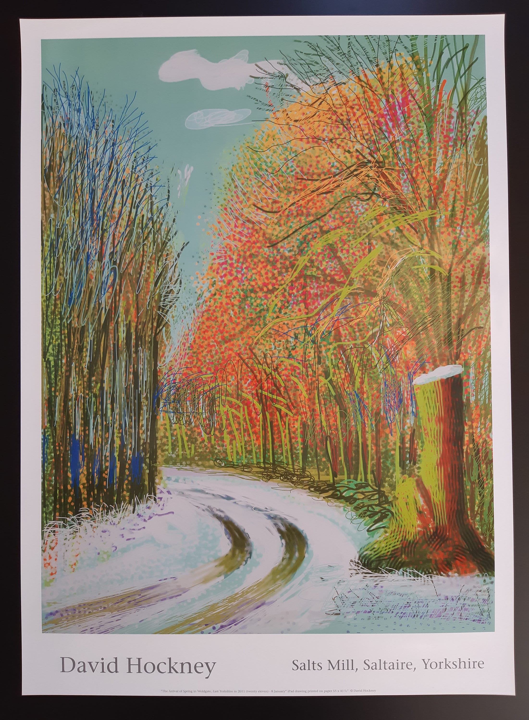 David Hockney original art poster - 18.7"×25.8" (47.5×65.5cm)