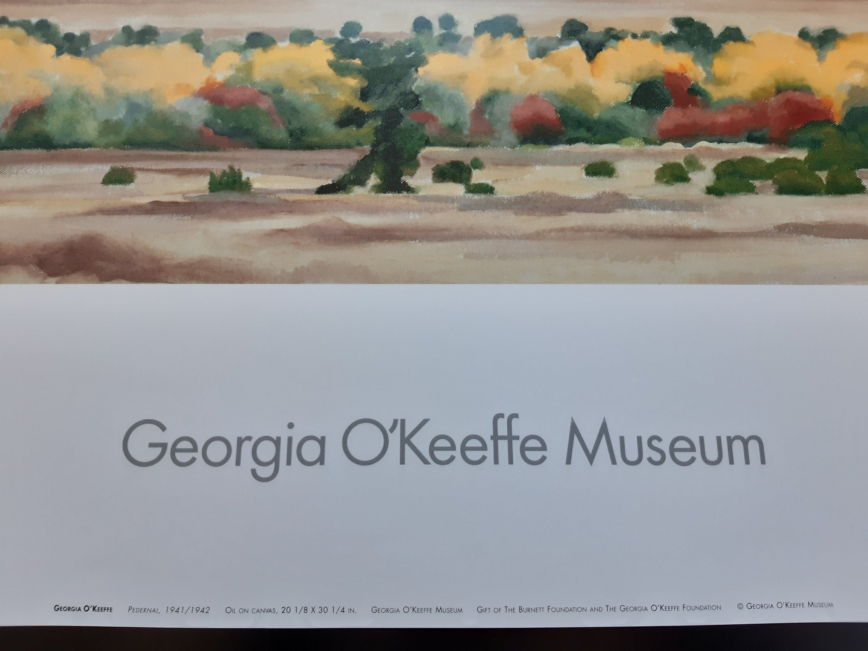 Georgia O'Keeffe Original-Kunstposter – 76×61 cm (29.9"×24.0")
