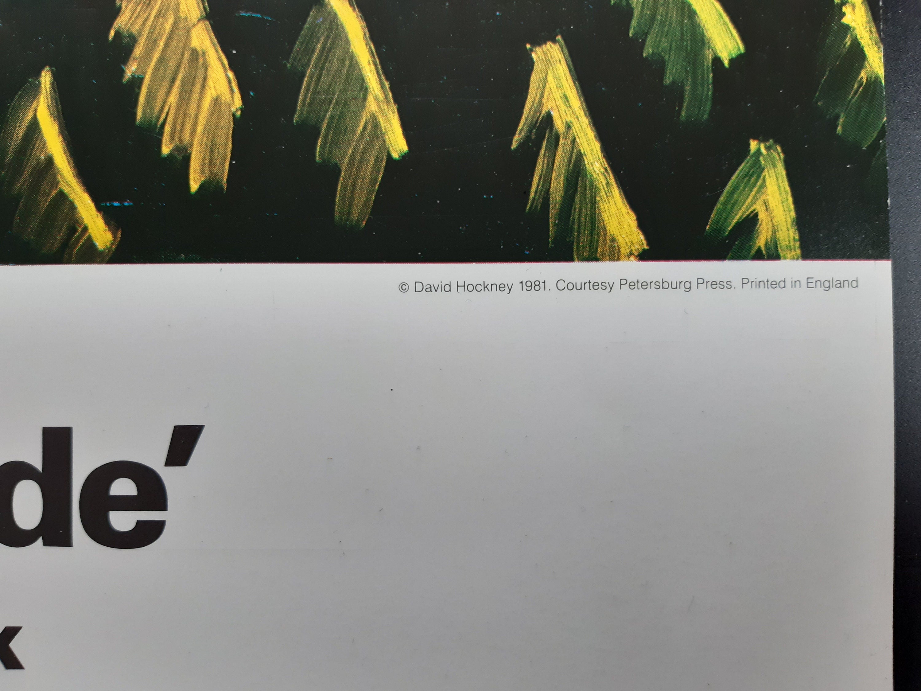 David Hockney original art poster - 26.8"×38.2" (68×97cm)