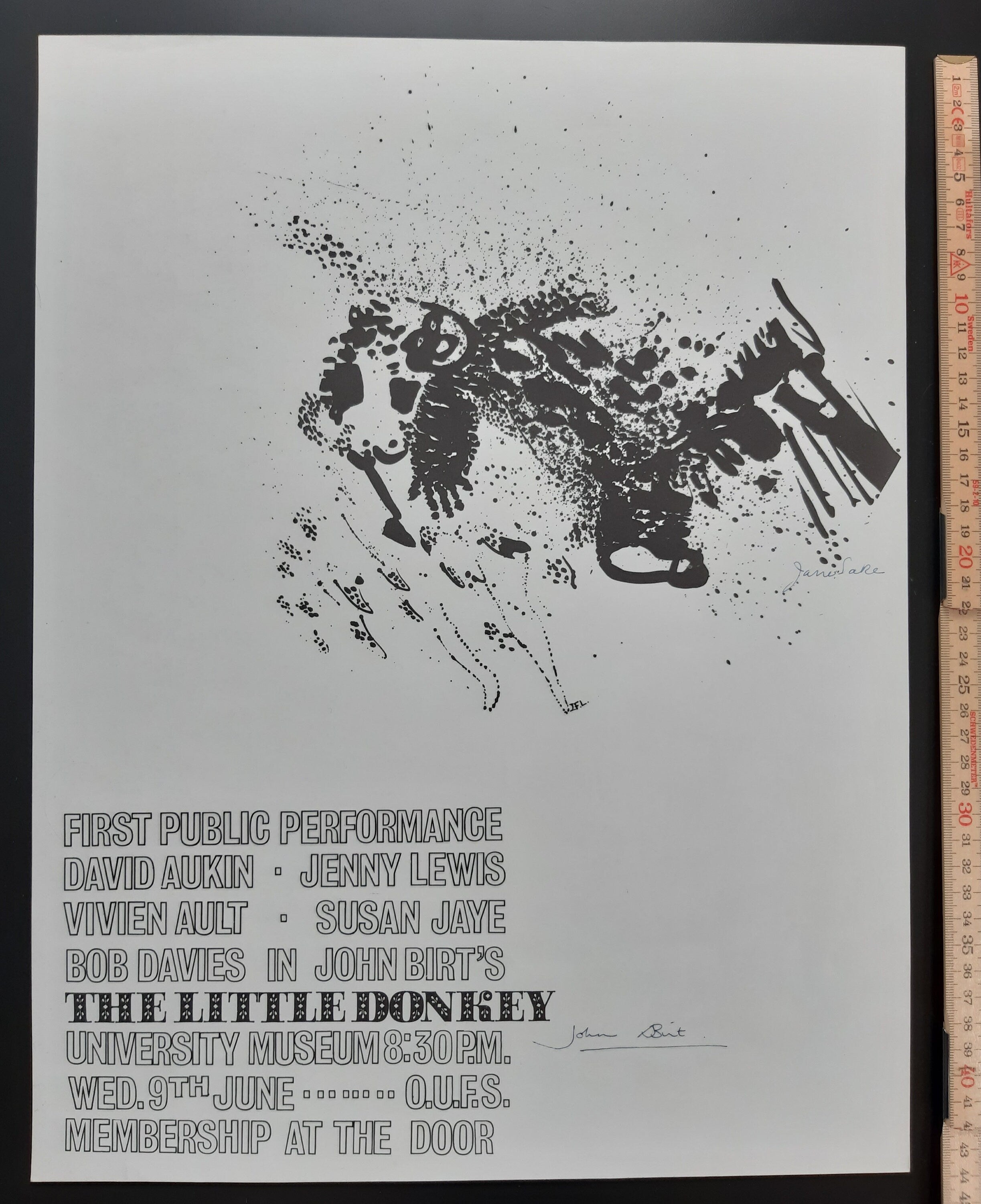 John Birt Jane Lake signiertes Filmplakat – 34×44cm (13.4"×17.3")