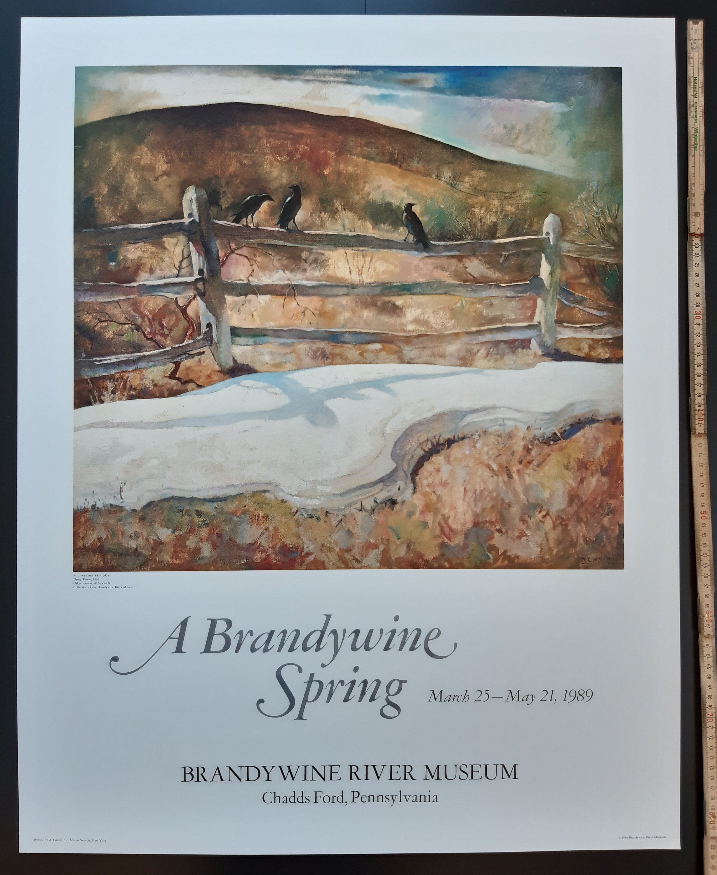 N. C. Wyeth Originalkunstplakat - 26.0"×32.9" (66×83.5cm)