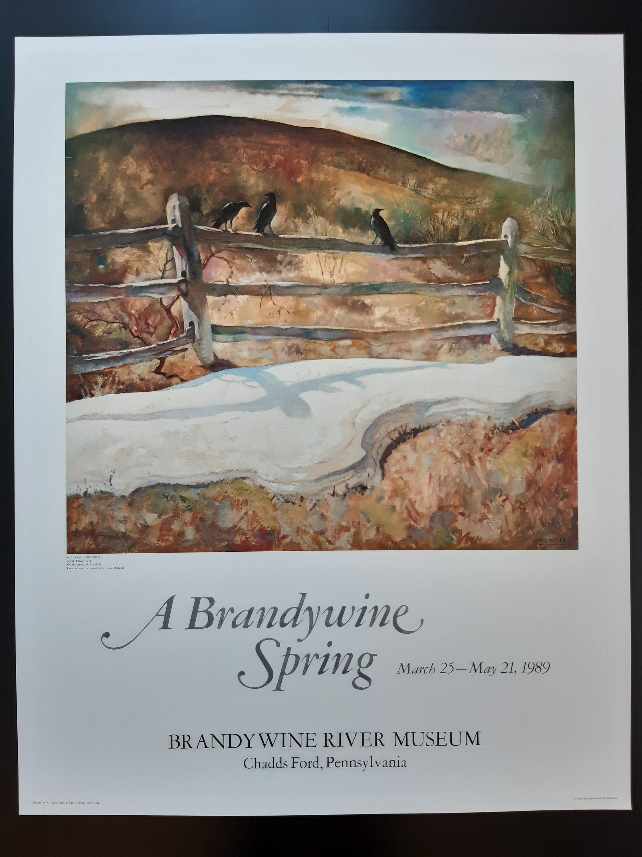 N. C. Wyeth Originalkunstplakat - 26.0"×32.9" (66×83.5cm)