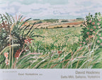 David Hockney original art poster - 22.4"×17.7" (57×45cm)