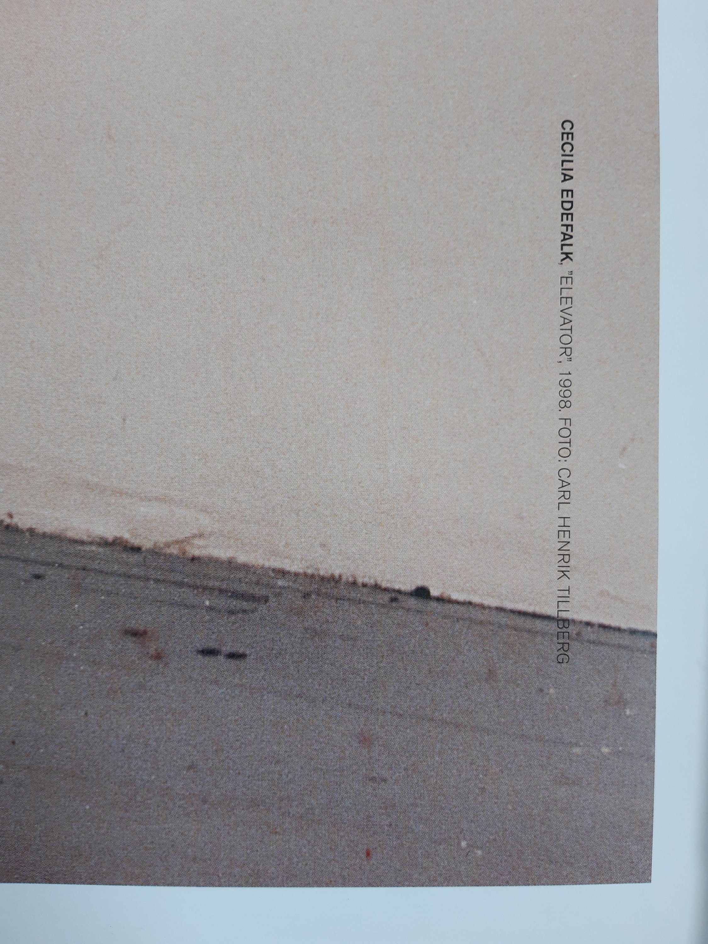 Cecilia Edefalk Kunstausstellung Plakat – 70×100 cm