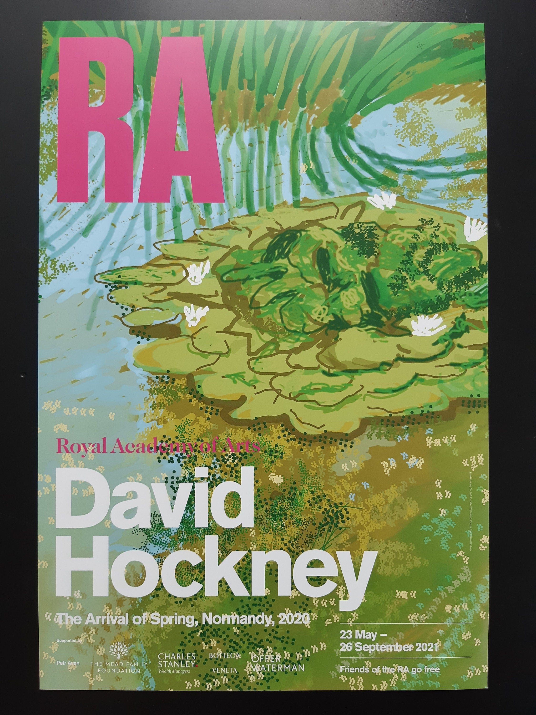David Hockney original art poster - 19.9"×29.7" (50.5×75.5cm)