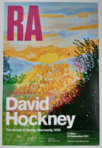 David Hockney original art poster - 19.9"×29.7" (50.5×75.5cm)