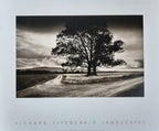 Richard Fitzgerald photo poster - 23.6"×19.7" (60×50cm)