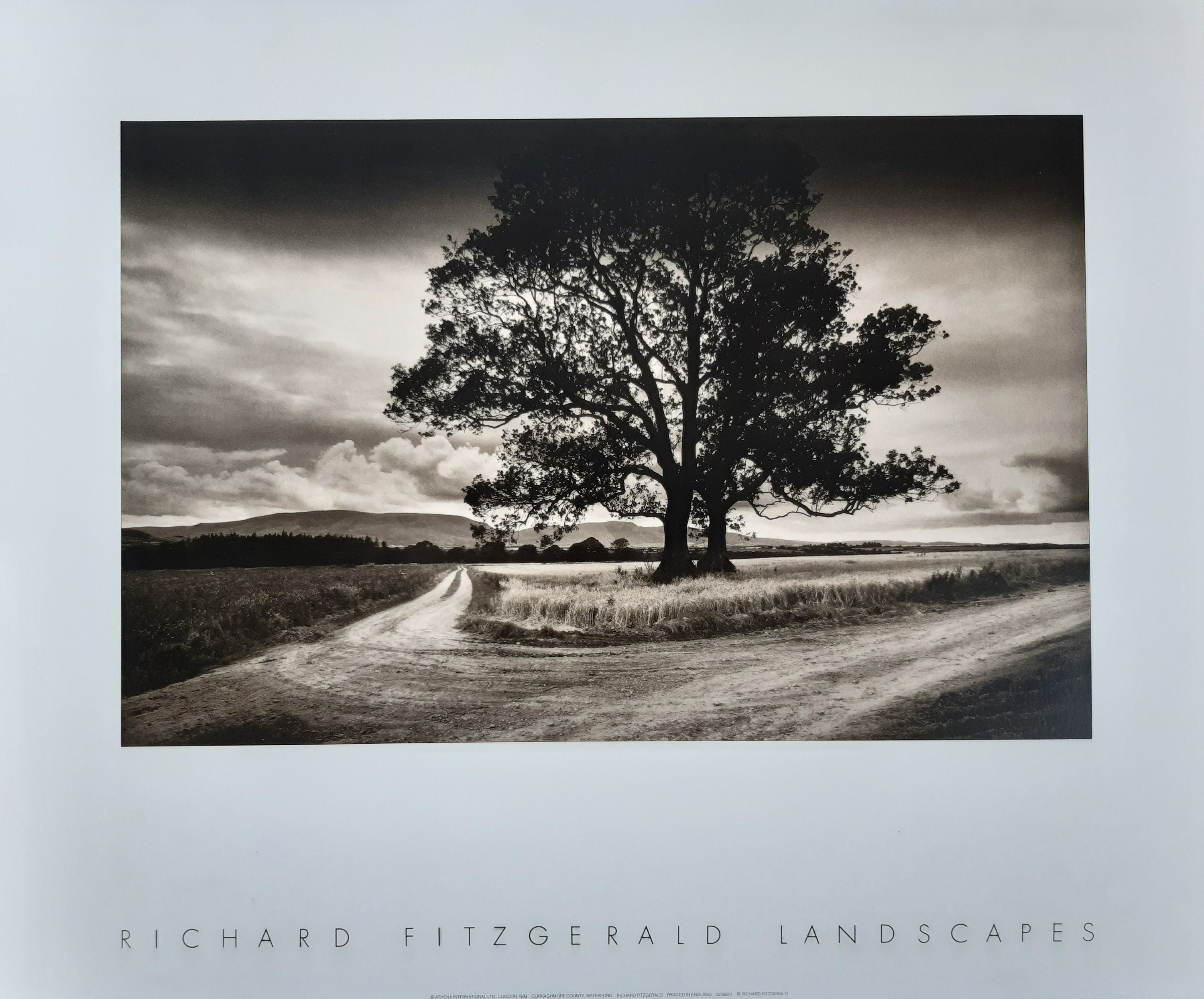 Richard Fitzgerald photo poster - 23.6"×19.7" (60×50cm)