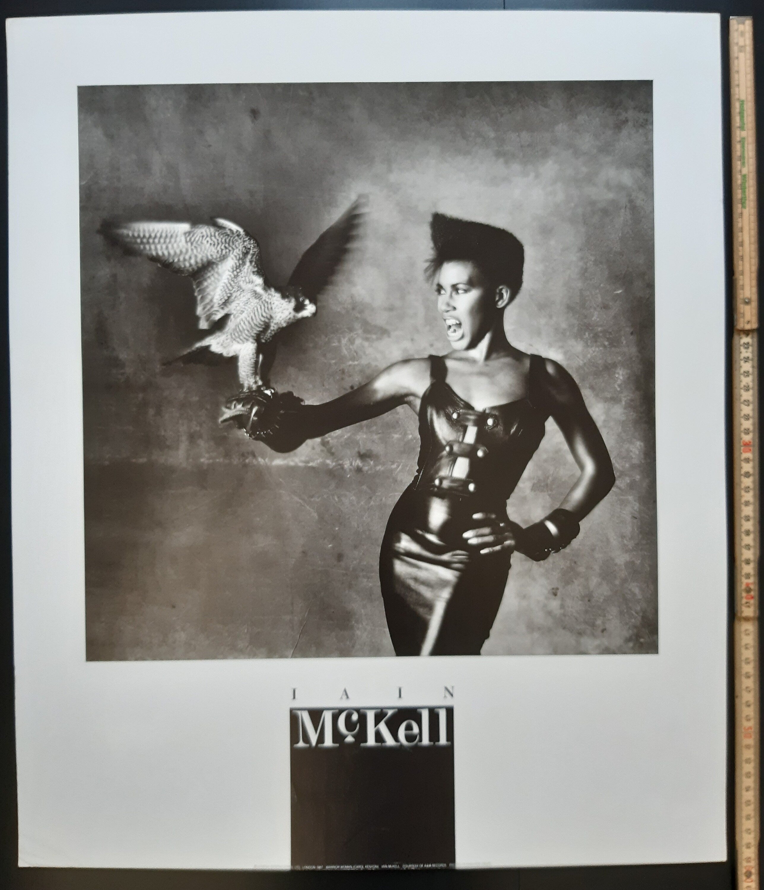 Iain McKell photo poster - 19.7"×23.4" (50×59.5cm)