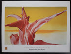 Georgia O'Keeffe Original-Kunstplakat – 80×60cm