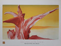 Georgia O'Keeffe Original-Kunstplakat – 80×60cm