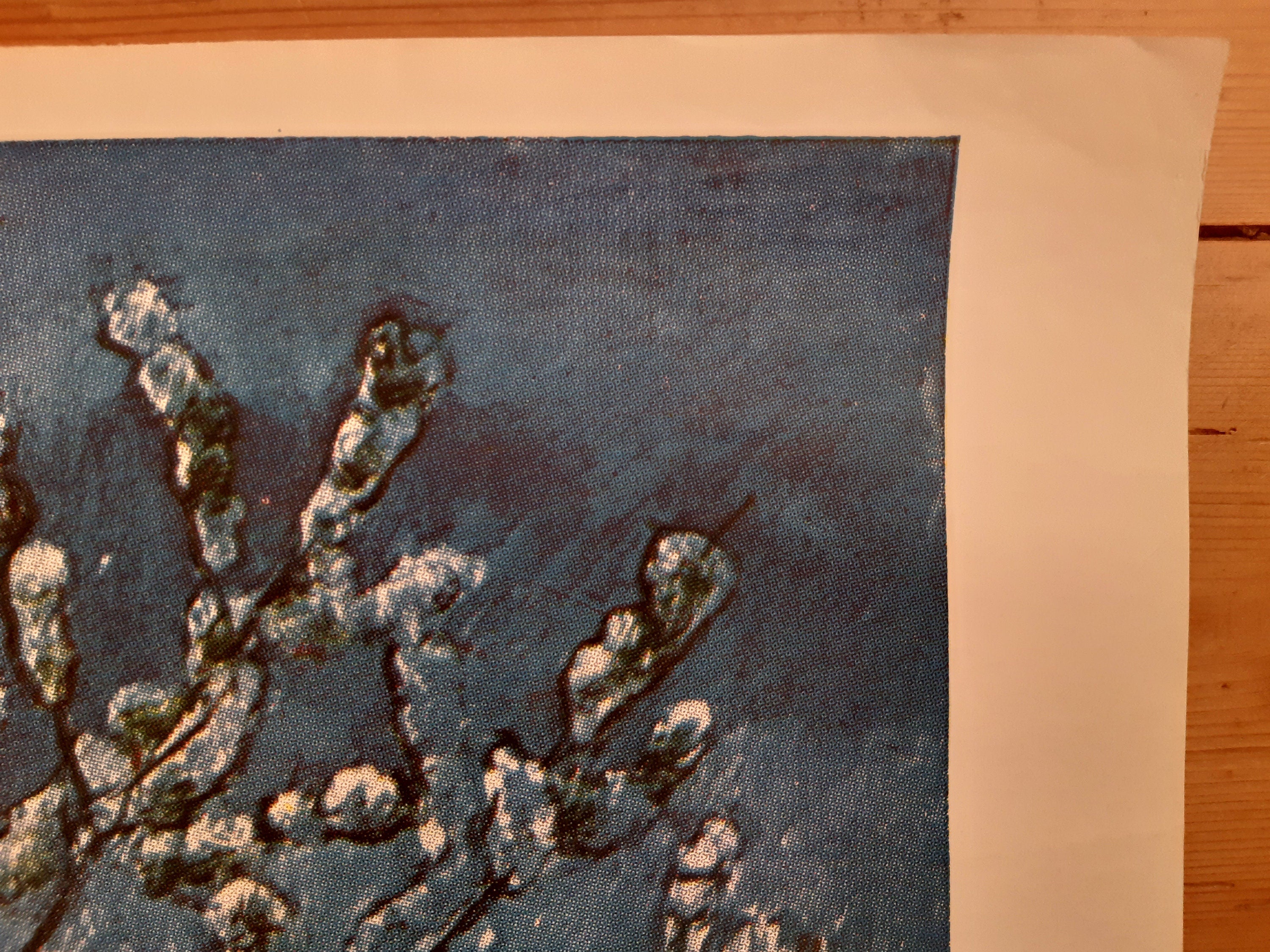 Ferdinand Hodler original art exhibition poster - 35.4"×50.4" (90×128cm)