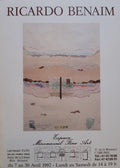 Ricardo Benaim Original-Kunstausstellungsplakat gebraucht – 52 × 72 cm (20,5" × 28,3")