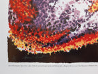 James Rosenquist Original-Kunstposter – 78,5 × 68,5 cm