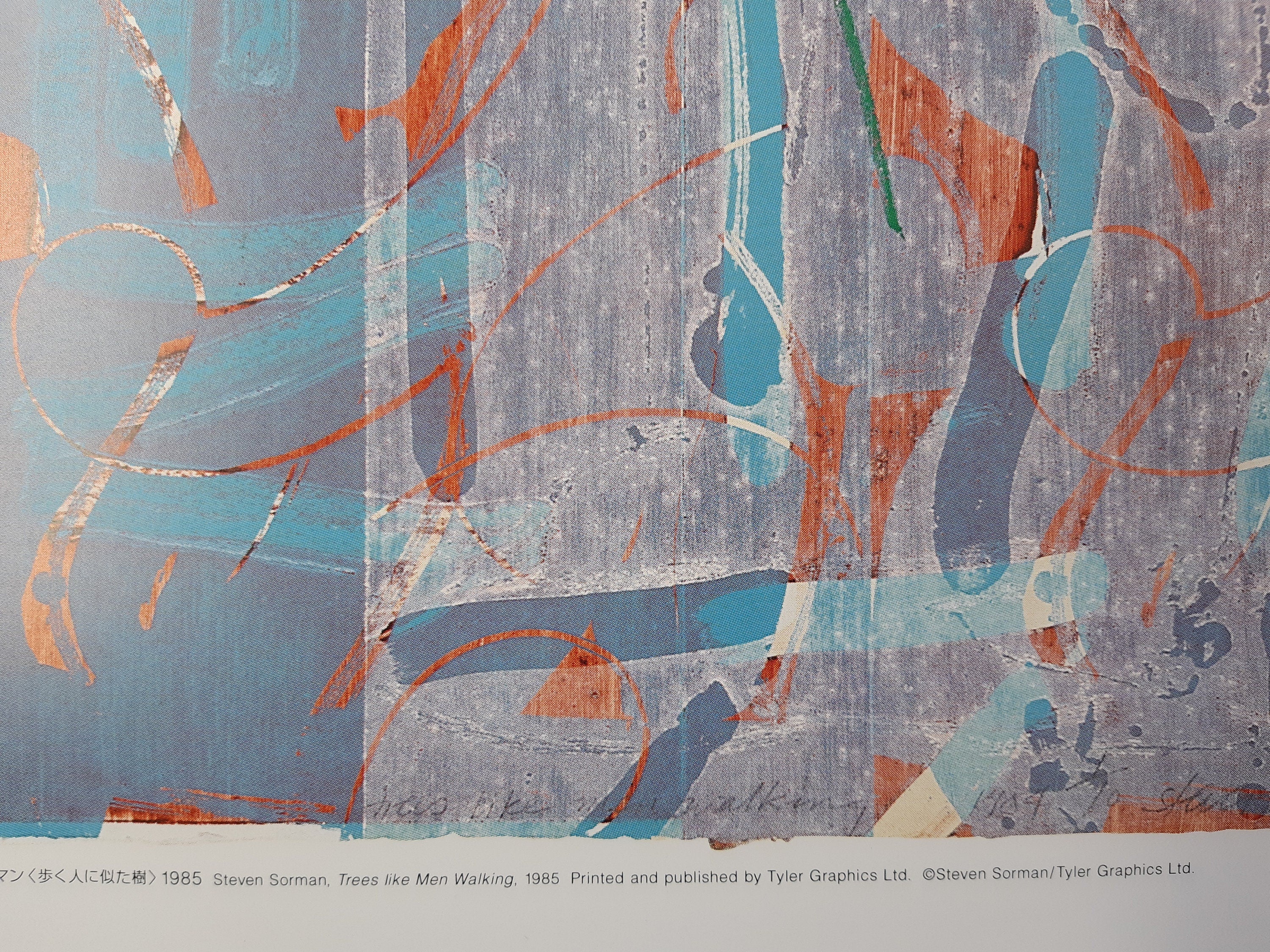Steven Sorman Originalkunstposter – 28,5"×40,6" (72,5×103cm)