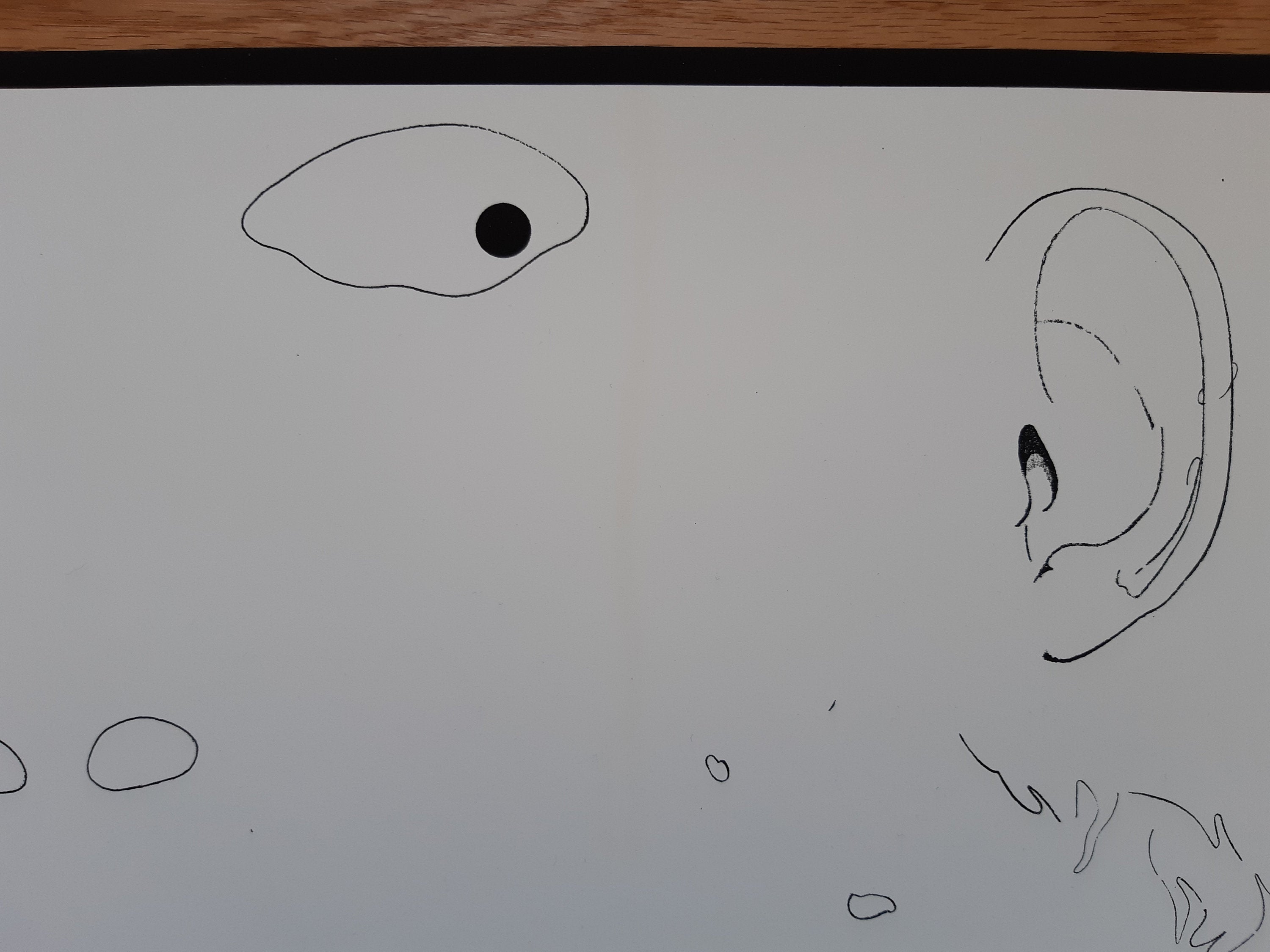 Daniel de Quervain original art exhibition poster - 19.7"×32.3" (50×82cm)