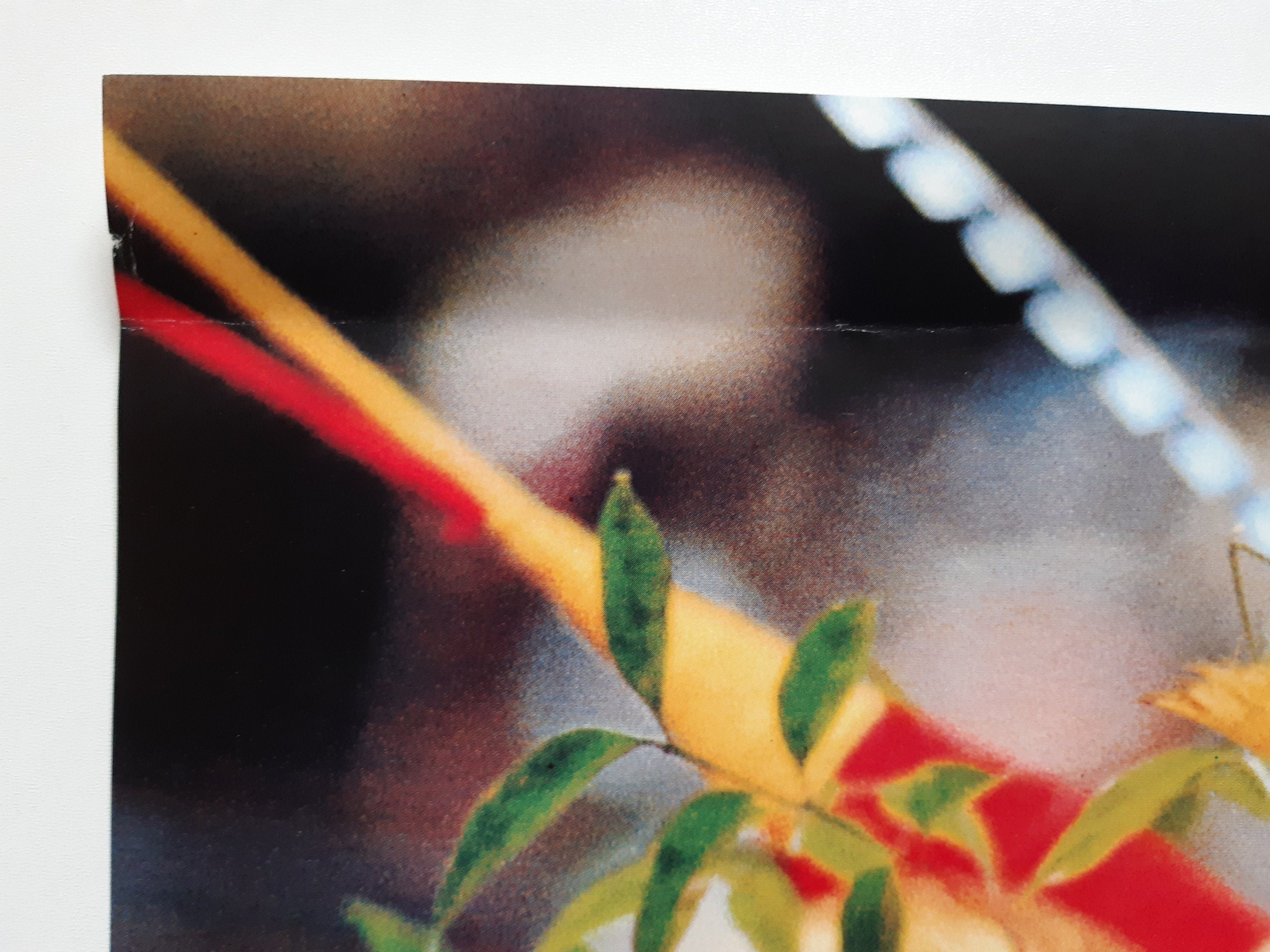 Ozeanien Fotomuseum Ausstellungsplakat - 19.6"×29.1" (49.8×74cm)
