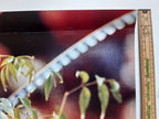 Ozeanien Fotomuseum Ausstellungsplakat - 19.6"×29.1" (49.8×74cm)