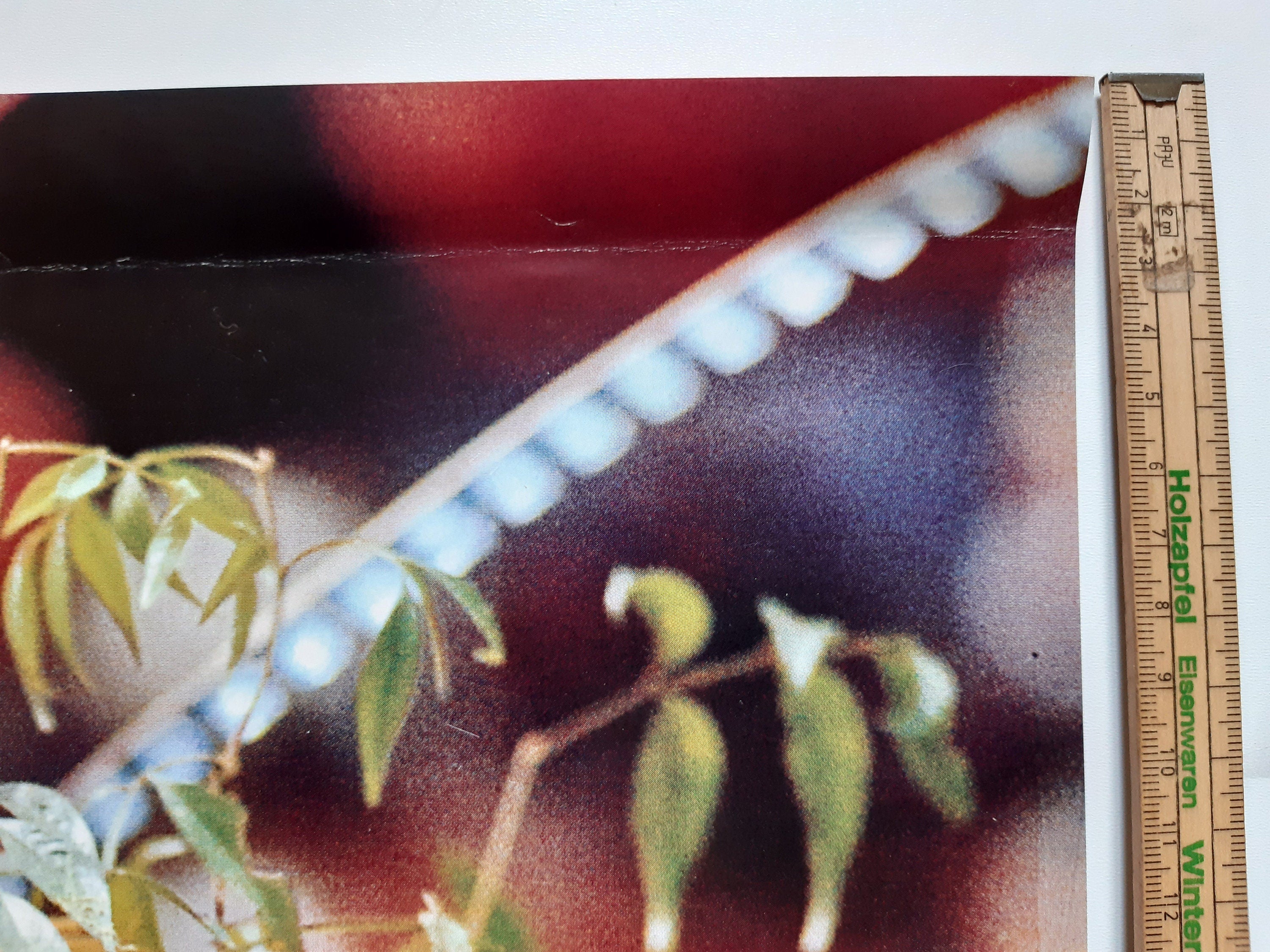 Ozeanien Fotomuseum Ausstellungsplakat - 19.6"×29.1" (49.8×74cm)