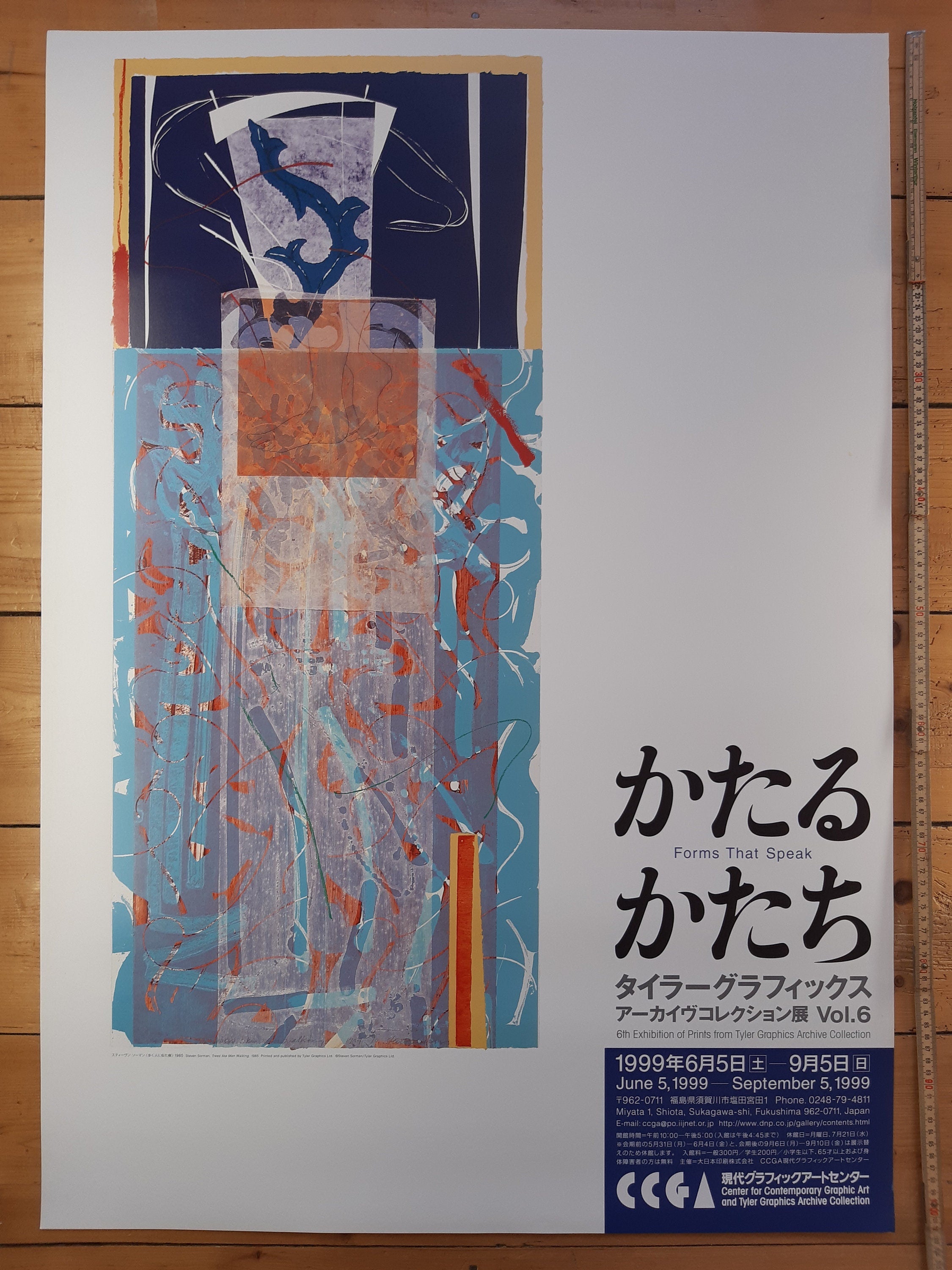 Steven Sorman Originalkunstposter – 28,5"×40,6" (72,5×103cm)
