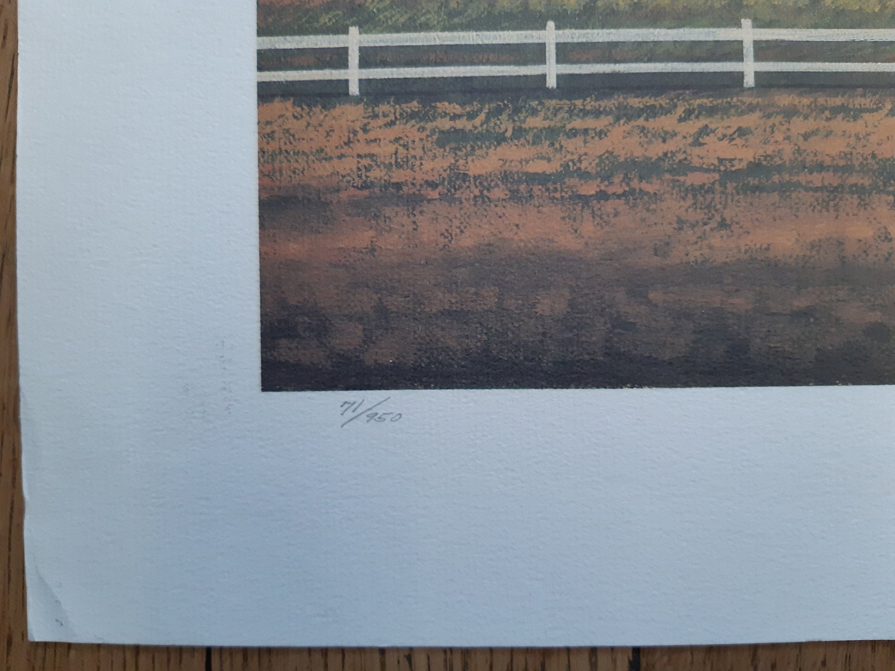 Originalkunstposter von Judith Zimmer, signiert – 100×54cm