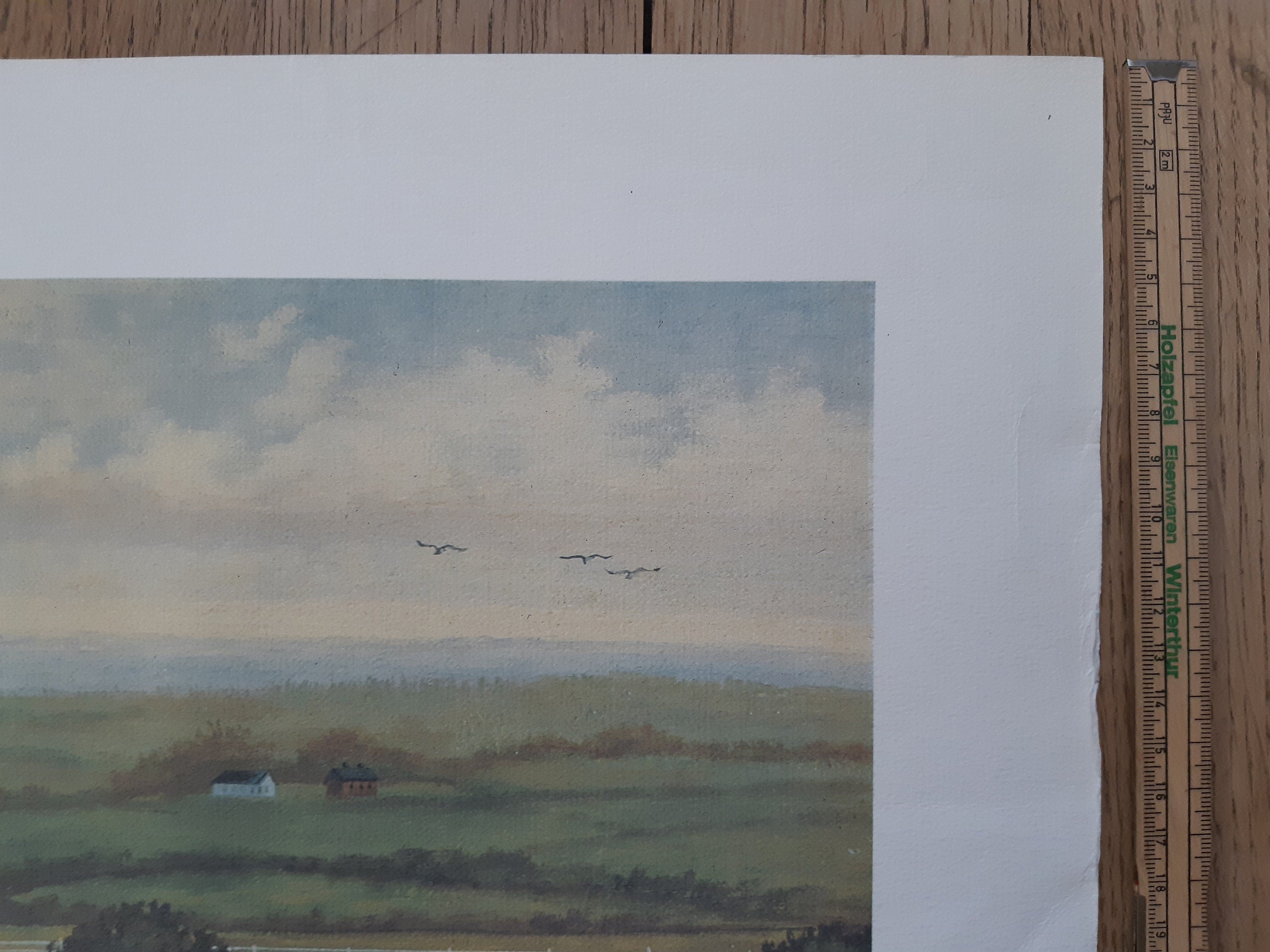 Originalkunstposter von Judith Zimmer, signiert – 100×54cm