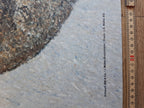 Giovanni Segantini Kunstposter - 35.8"×50.4" (91×128cm)