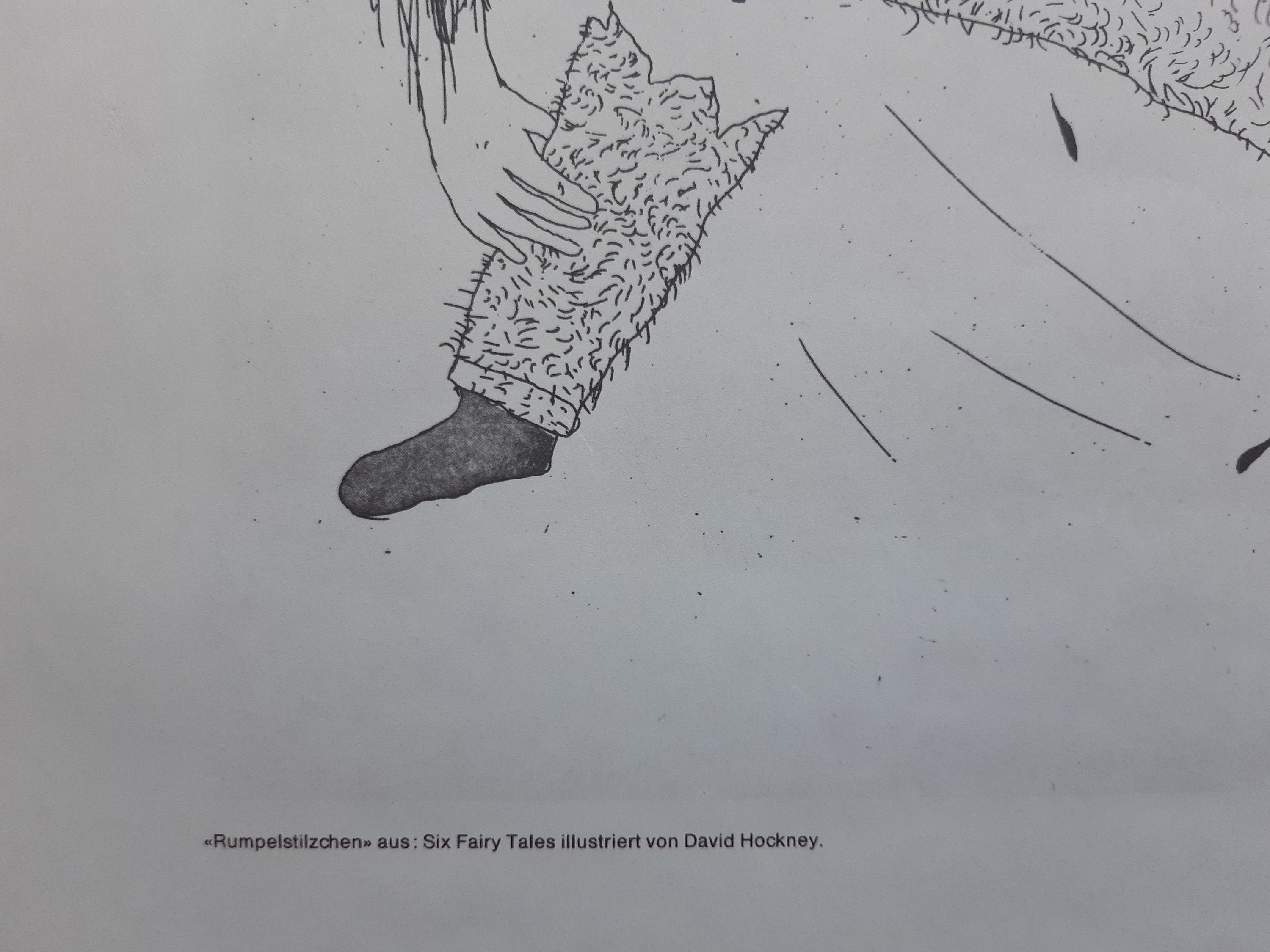 David Hockney original art poster used - 25.2"×35.4" (64×90cm)