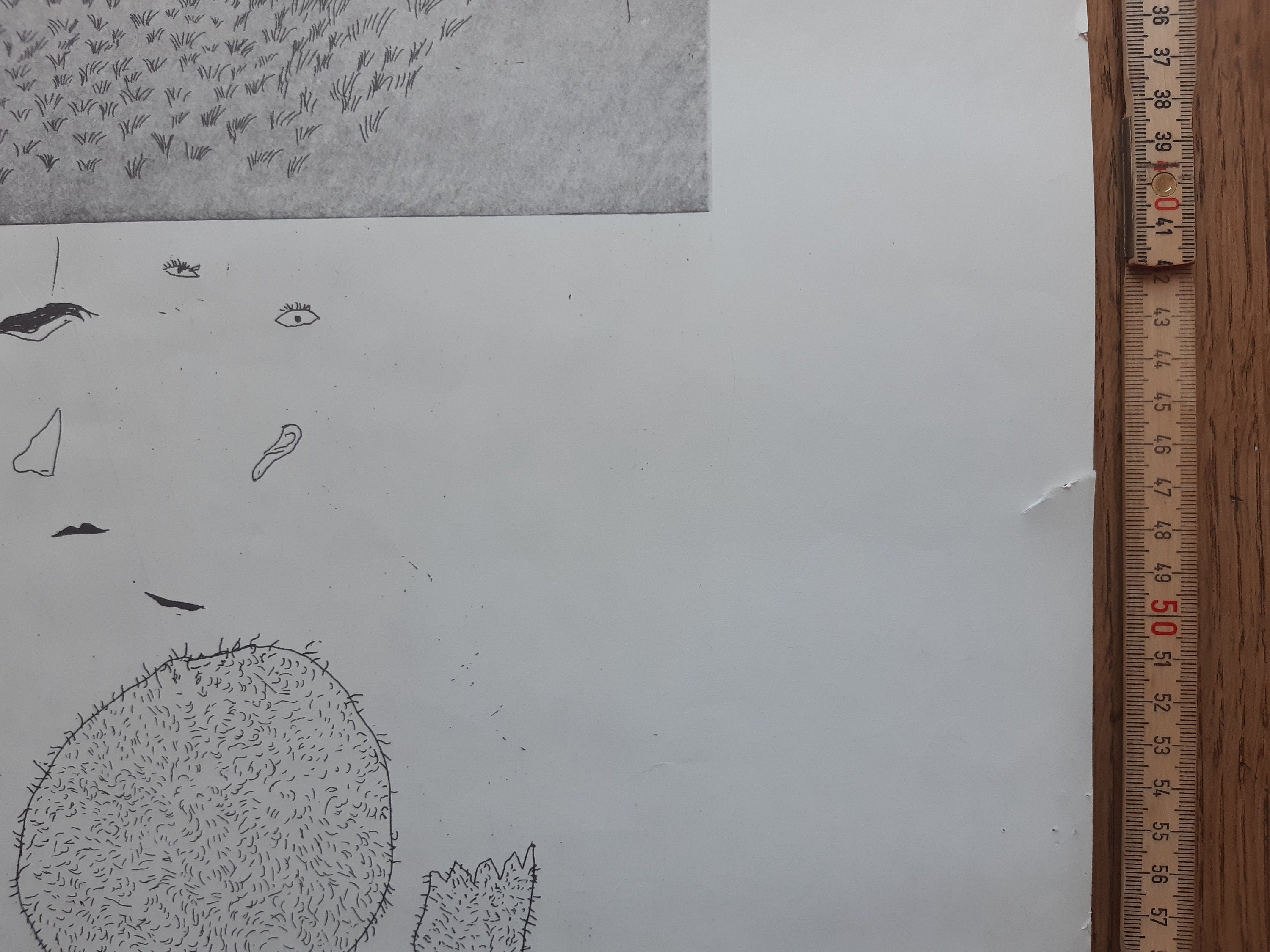 David Hockney original art poster used - 25.2"×35.4" (64×90cm)