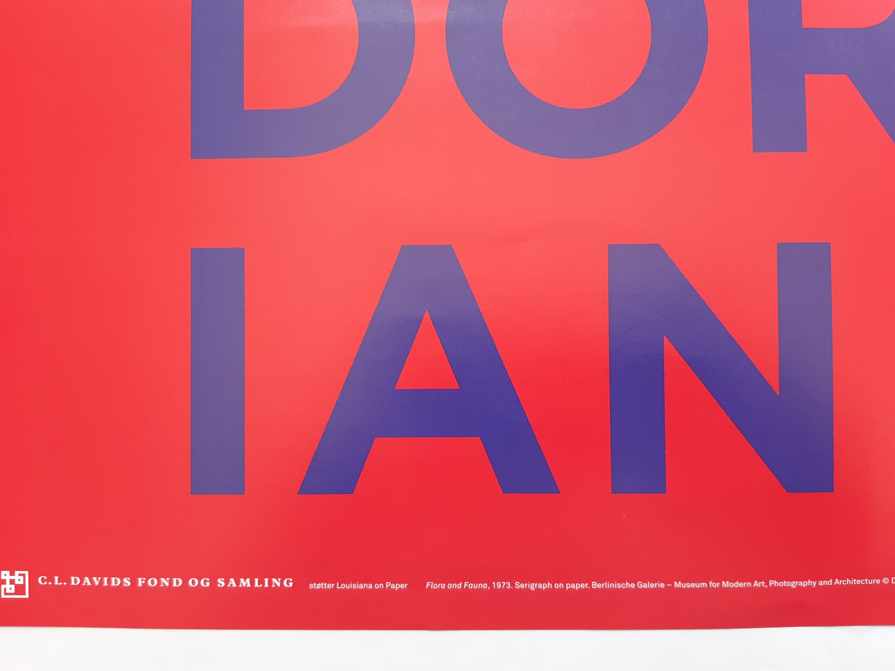 Dorothy Iannone Kunstausstellung Plakat – 59.4×84cm (23.4"×33.1")