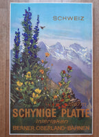 Schweizer Interlaken Original-Reiseposter - 25.2"×40.2" (64×102cm)