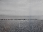 Harry Callahan original photo poster