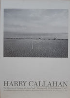 Harry Callahan original photo poster