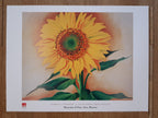 Georgia O'Keeffe Original-Kunstplakat – 80×60cm