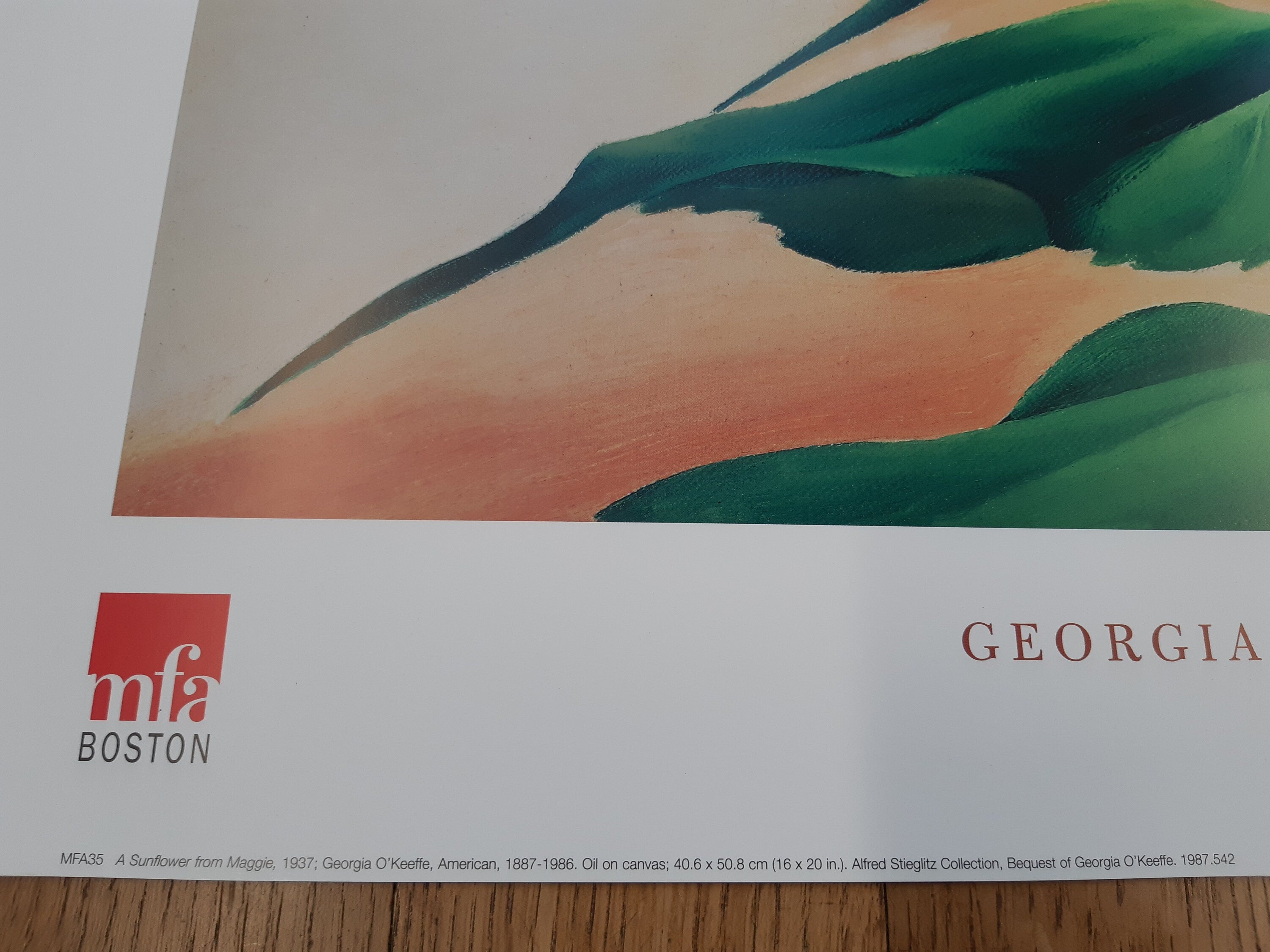 Georgia O'Keeffe Original-Kunstplakat – 80×60cm