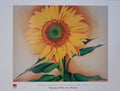 Georgia O'Keeffe Original-Kunstplakat – 80×60cm