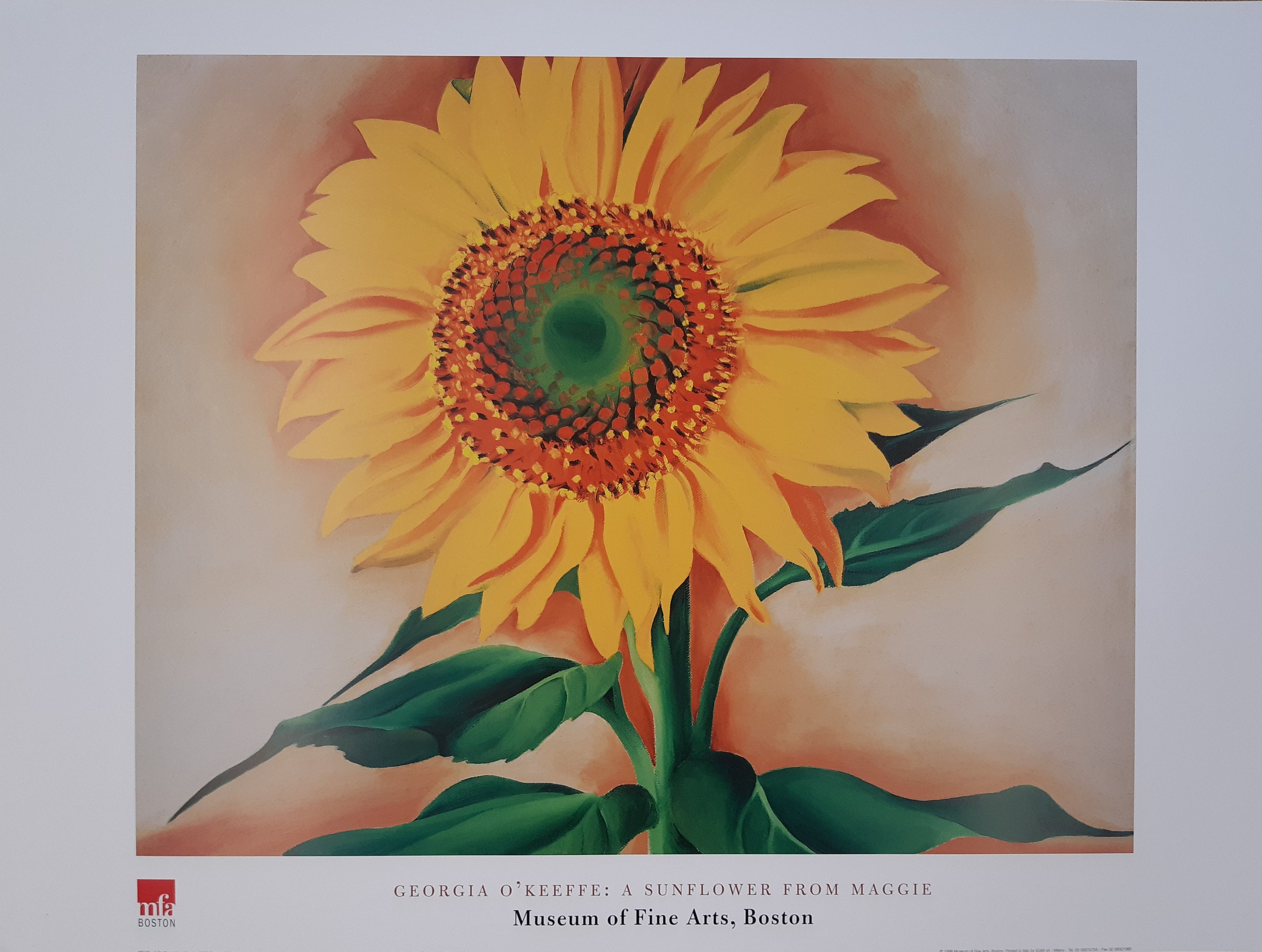 Georgia O'Keeffe Original-Kunstplakat – 80×60cm