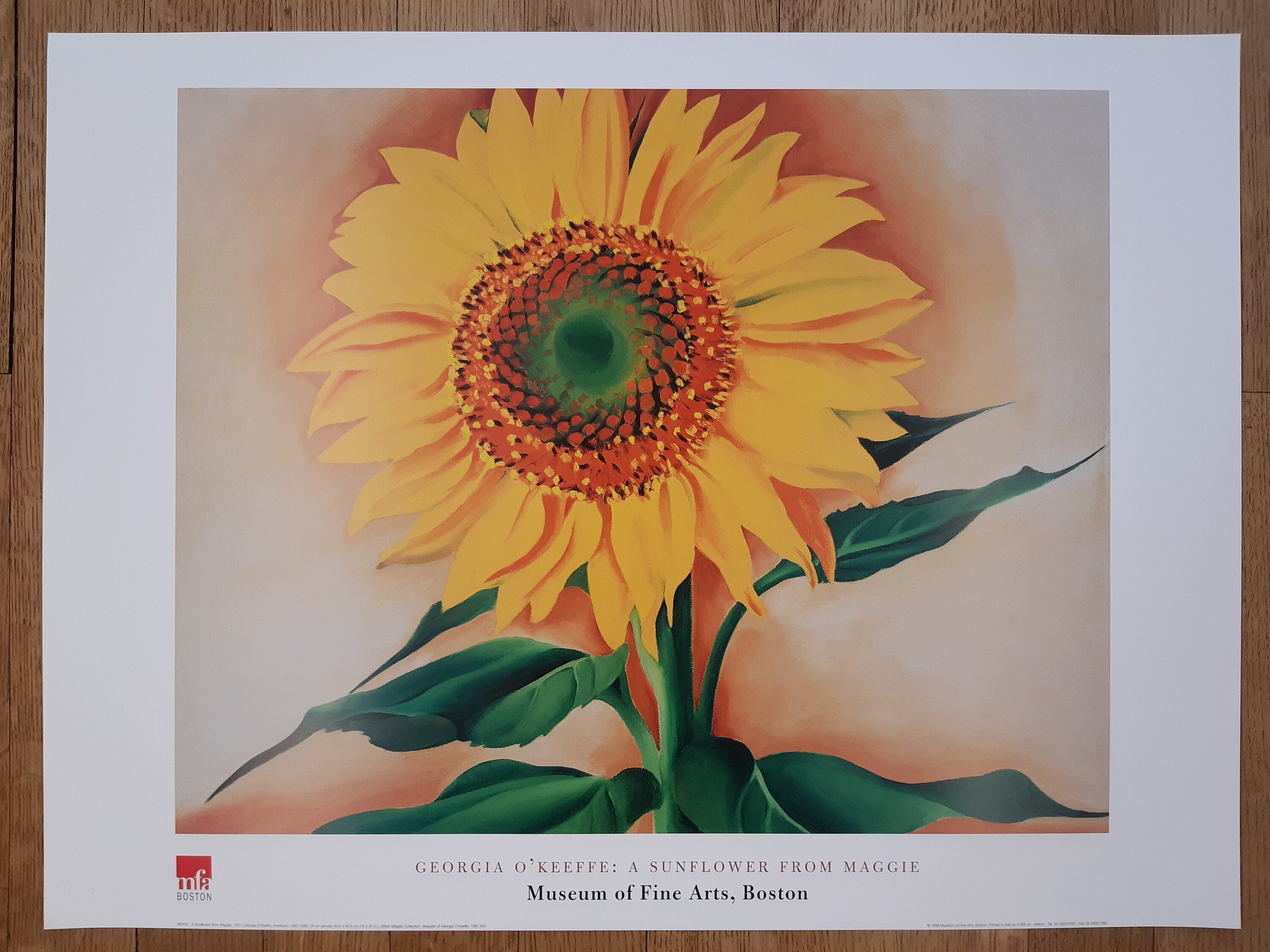 Georgia O'Keeffe Original-Kunstplakat – 80×60cm
