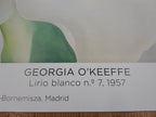 Georgia O'Keefe Original-Kunstdruck – 27.0"×38.6" (68.7×98cm)