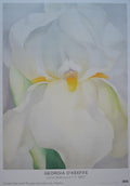 Georgia O'Keefe Original-Kunstdruck – 27.0"×38.6" (68.7×98cm)